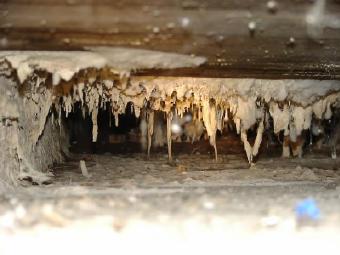 Mold in home air duct